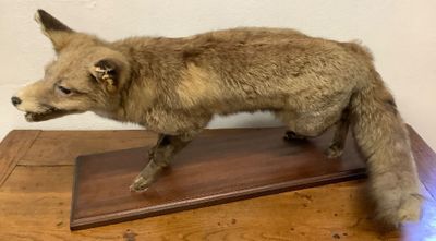 un renard en peluche posé sur une table en bois