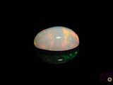 an oplite in the dark with a black background