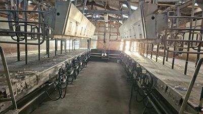 a long row of beds in a building with a lot of windows