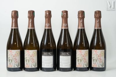 six bouteilles de vin sont alignées sur une table