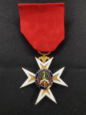 un gros plan d'une médaille entourée d'un ruban rouge