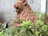 a statue of a lion that is sitting in the bushes