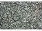 an image of a stone wall with carvings on it