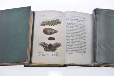"INSECTES", dix livres reliés cuir, imprimerie de CRAPELET à… - Photo 1