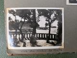 an old photo of a couple of trees sitting on top of a book