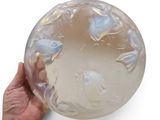a person holding a clear glass object in their hand