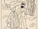 Photo 1/1 du lot