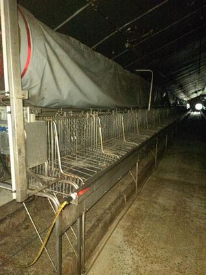de nombreuses cages alignées à l'intérieur d'un bâtiment