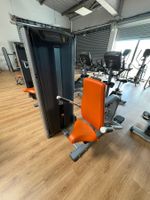 Triceps press Machine MATRIX