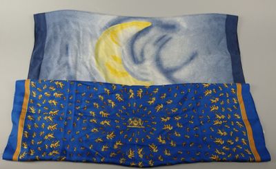 une photo d'un oreiller bleu et jaune sur lequel est représentée la lune