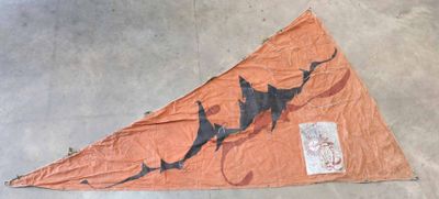 a kite that has a shark on it on the ground
