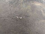 a close up of a painting of a bird flying over the water