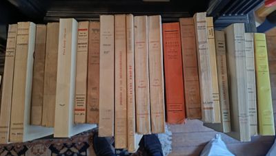 Livres brochés nrf et divers.