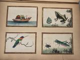 four pictures of animals and insects on the wall