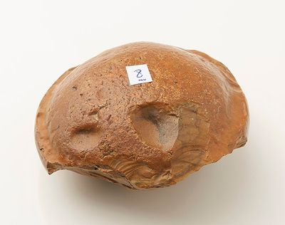 Silex de forme circulaire. Il aurait été trouvé à Thèbes ver…