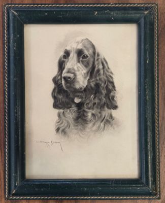 portrait of a cocker dog in a black frame on a wooden wall