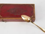 gold plated spoon in a red leather box on a white surface