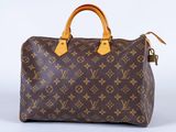 louis vuitton speedy mm monogram canvas