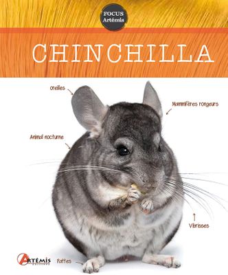 ARTÉMIS ÉDITIONS - Livre Guide Pratique Chinchilla - Collect…