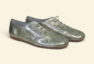 silver leather shoes with laces on a white background