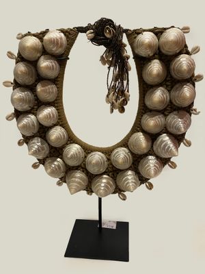 an image of a necklace made out of seashells