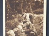 Photo 3/3 du lot