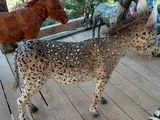 two horses that are standing on a wooden deck