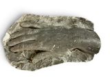 a statue of a hand holding a cloth on a white surface