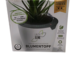 une boîte contenant une plante, sur fond blanc