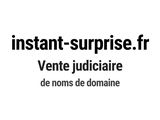 Photo 1/1 du lot