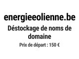 Photo 1/1 du lot