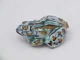 a small blue frog that is sitting on a white surface