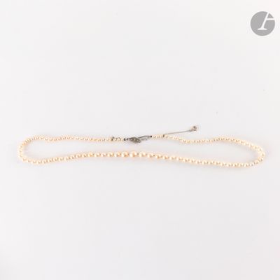 un collier de perles blanches avec un fermoir en argent sur fond blanc