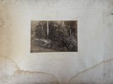 a picture of an old photo of a garden