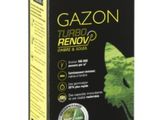 une boîte de « Gazon » pour chats et chatons sur fond blanc