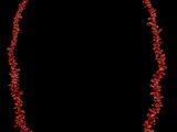 un collier de corail rouge sur fond noir