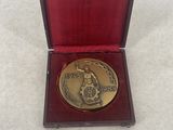 a gold medal in a red box on a white surface