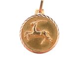 an image of a gold pendant with a horse on it
