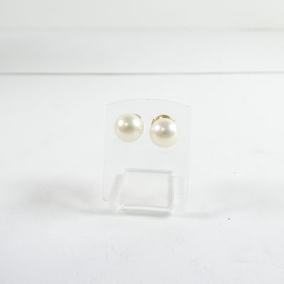 une paire de boucles d'oreilles à clous en perles, présentée dans une boîte transparente posée sur un fond blanc