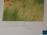a picture of a picture of a field with red flowers