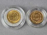 two gold coins in a clear plastic container on a gray surface
