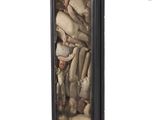 a picture of a display case with a lot of bones in it