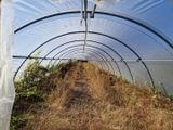 un tunnel dans lequel poussent quelques plantes