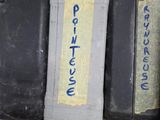 Plusieurs bagages sont alignés sur une étagère dans une pièce