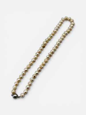 Collier de 54 perles d'eau douces blanches de dimension 9-10…