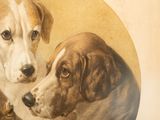 two dogs that are looking at each other in this picture