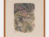une image représentant un tableau de fleurs dans un cadre en bois