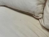 a cat that is sitting on a couch with pillows