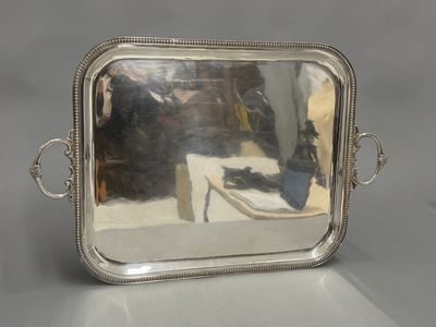 a silver tray with a handle on it