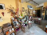 a room with a lot of items on the floor